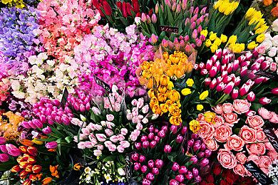 《迷失》Steam同时在线玩家突破6万 创发行商游戏新记录